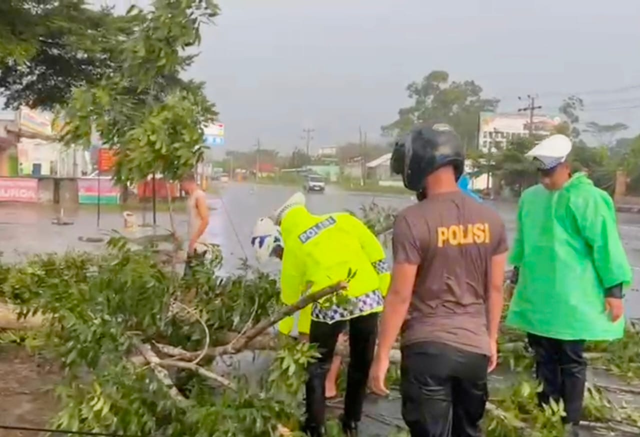 Satlantas Polres Musi Rawas Berjibaku Potong dan Geserkan Pohon Tumbang di Jalan