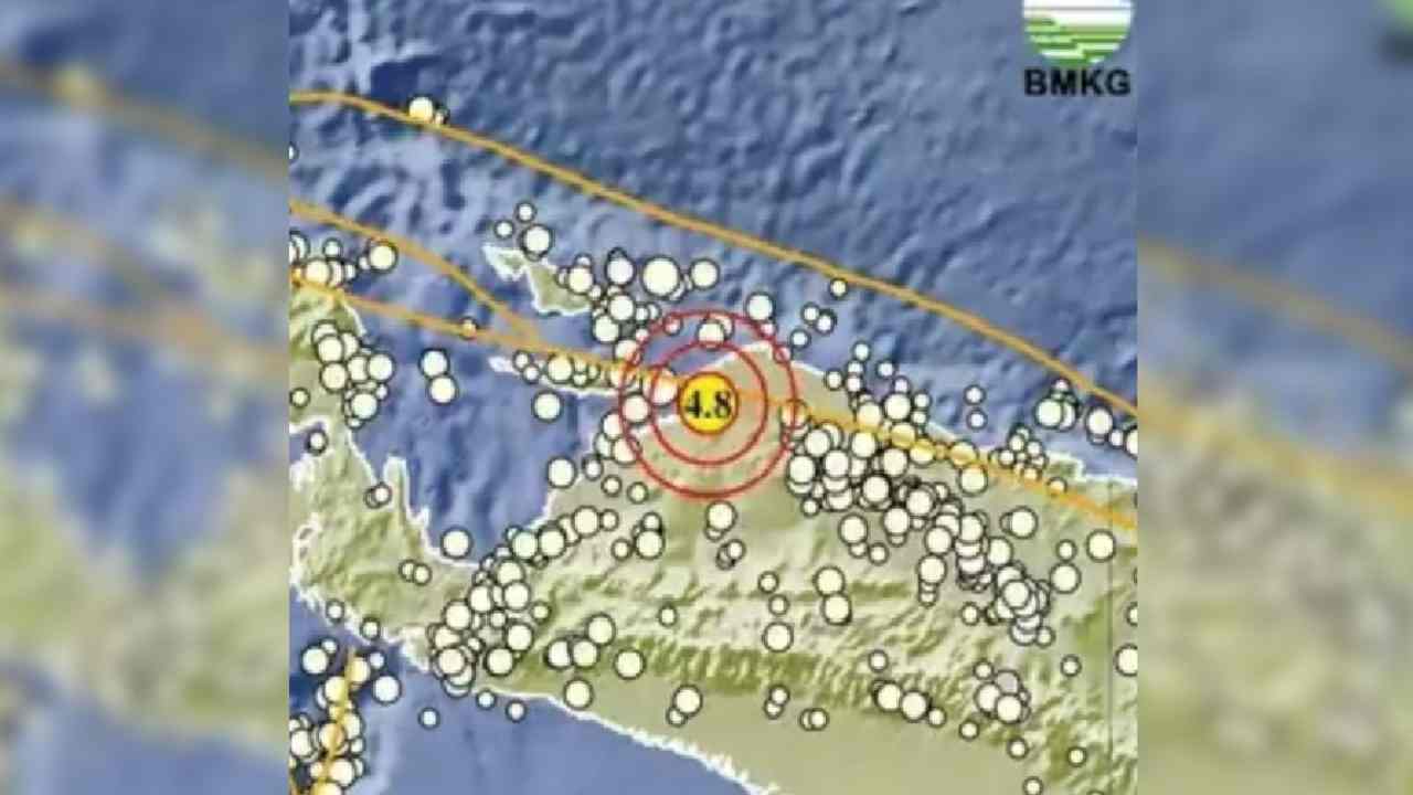 Update BMKG, Pagi Ini Gempa 4.8 Magnitudo Guncang Papua, Tak Berpotensi Tsunami