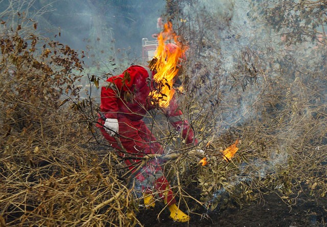 Luas Kebakaran Hutan dan Lahan di Sumsel Meningkat pada 2022