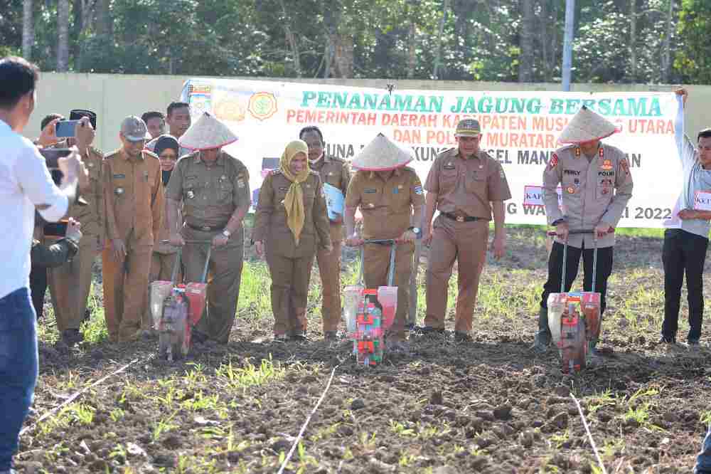 Gandeng Polres Tanam Jagung, Pemanfaatan Lahan Tidur