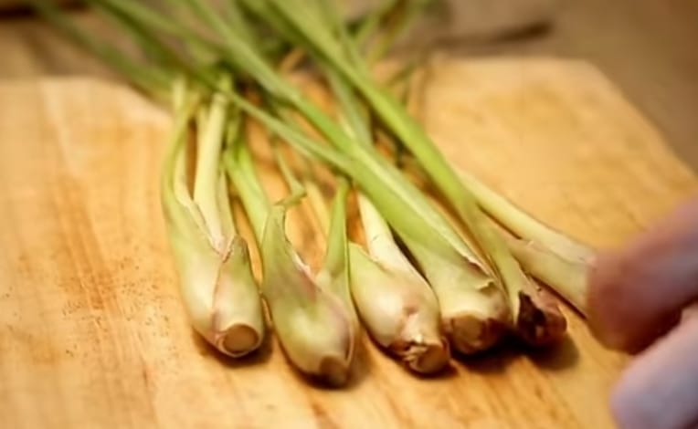 Berikut 10 Manfaat Tanaman Serai yang Wajib Kamu Ketahui