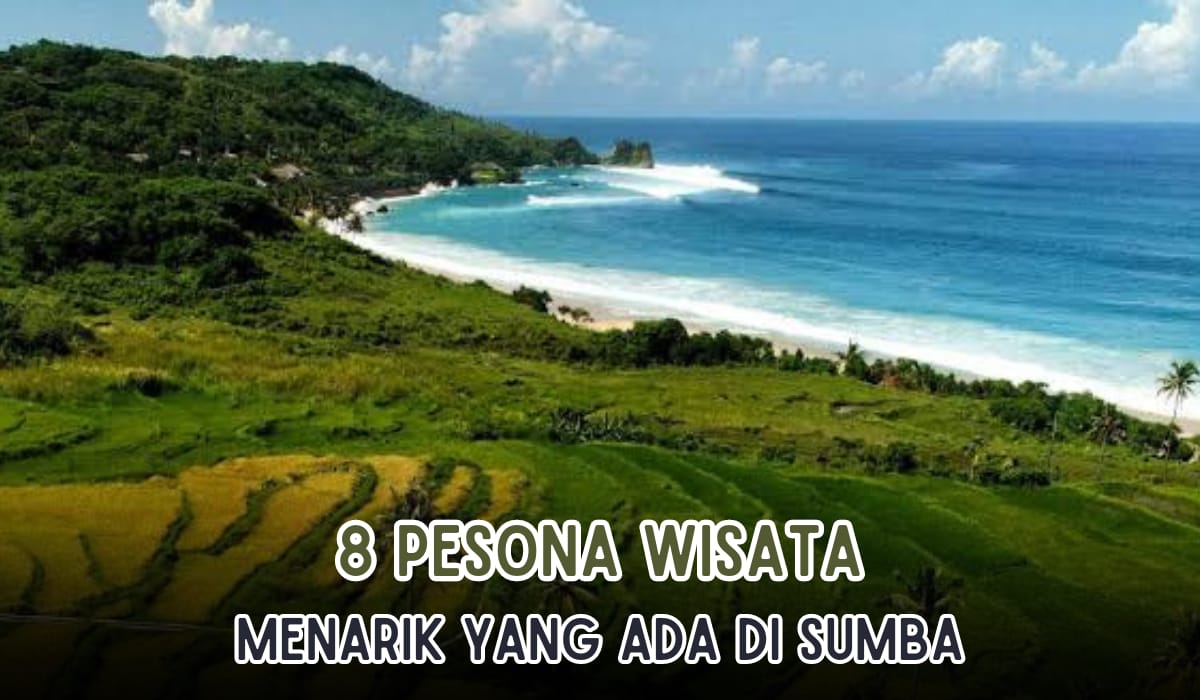 8 Objek Wisata di Sumba yang Menarik untuk Dikunjungi, Yuk Cobain Sensasi Tempat Snorkeling Terbaik di Dunia