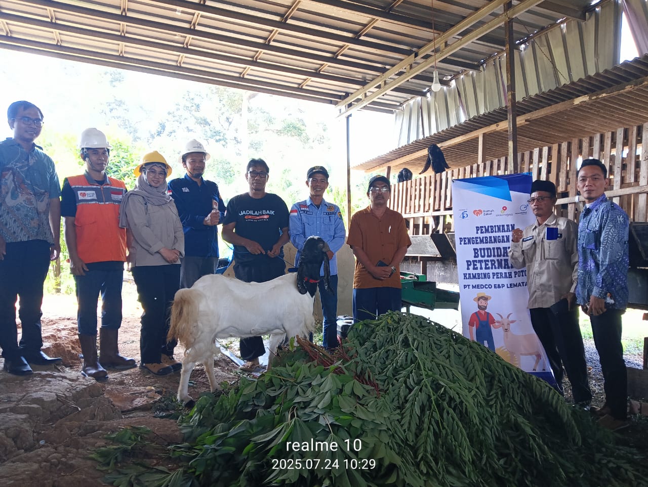 Dukung Pengembangan Budidaya Peternakan Kambing Perah Potong, Medco E&P Gelar Pembinaan di Desa Bangun Sari