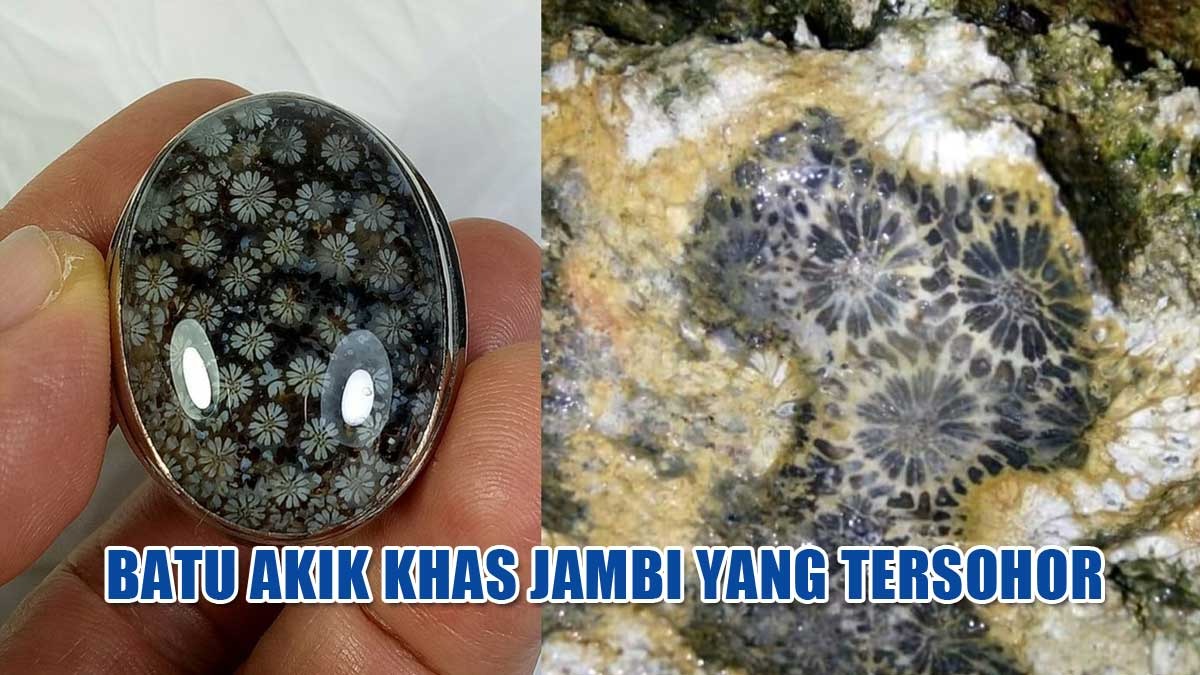 Batu Akik Jambi Ini Tersohor di Kalangan Pejabat, Konon Bisa Menambah Wibawa