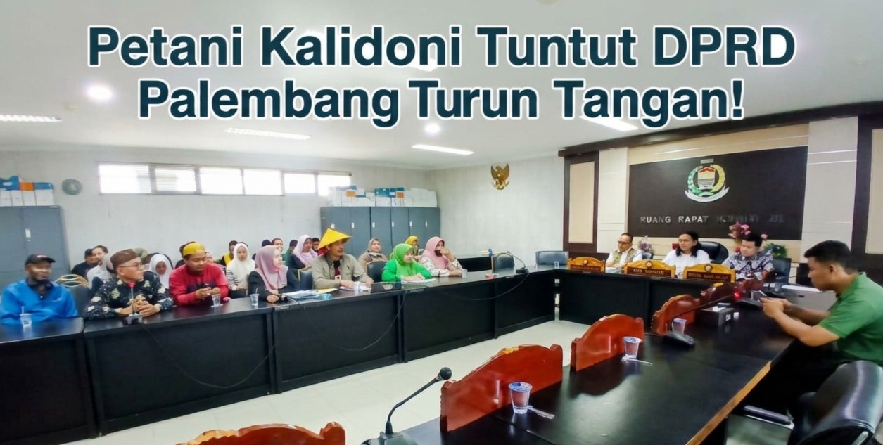 Lahan Sawah Diduga Ditimbun Developer, Petani Kalidoni Tuntut DPRD Palembang Turun Tangan!