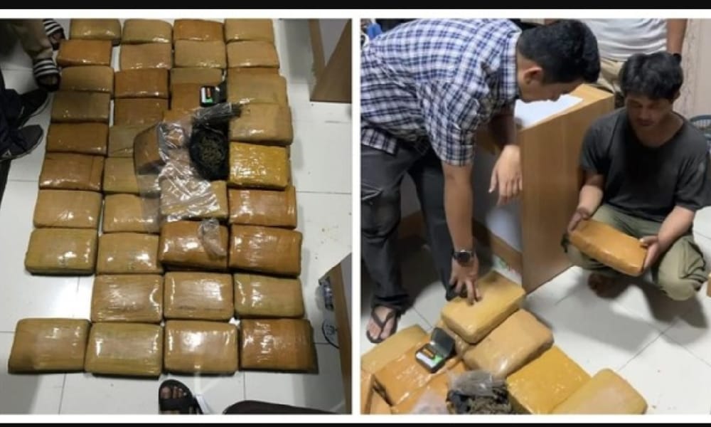 SIGAP! Badar Besar Narkoba Lampung Diringkus Polisi, 53 Kilogram Ganja Kini Diamankan 