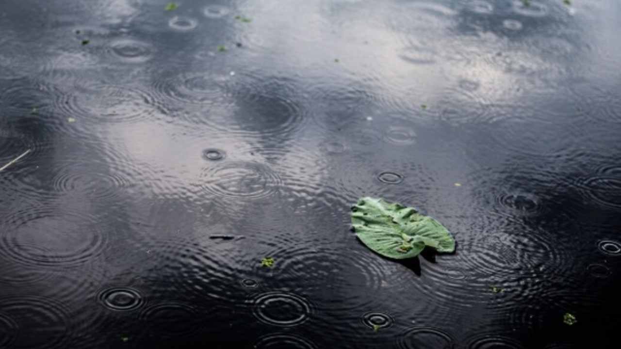 Prakiraan Cuaca BMKG Hari Ini 4 Desember 2025, Hujan Ringan Mendominasi Sumsel, Hujan Petir di OKUT