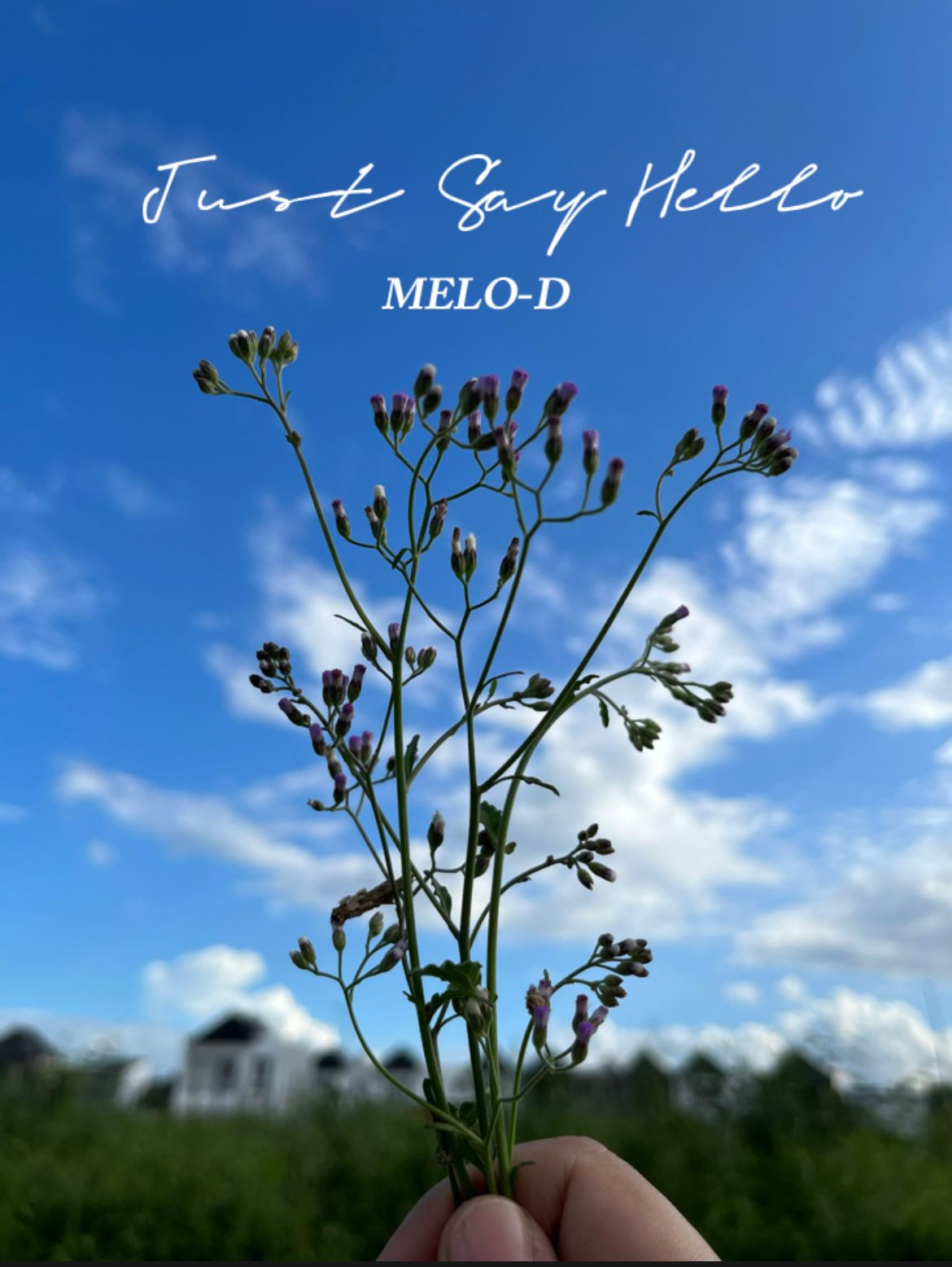 Just Say Hello milik Melo-D Viral di TikTok, Berikut Lirik dan Terjemahannya!