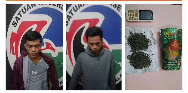 2 Napi di Pagaralam Kedapatan Simpan Ganja