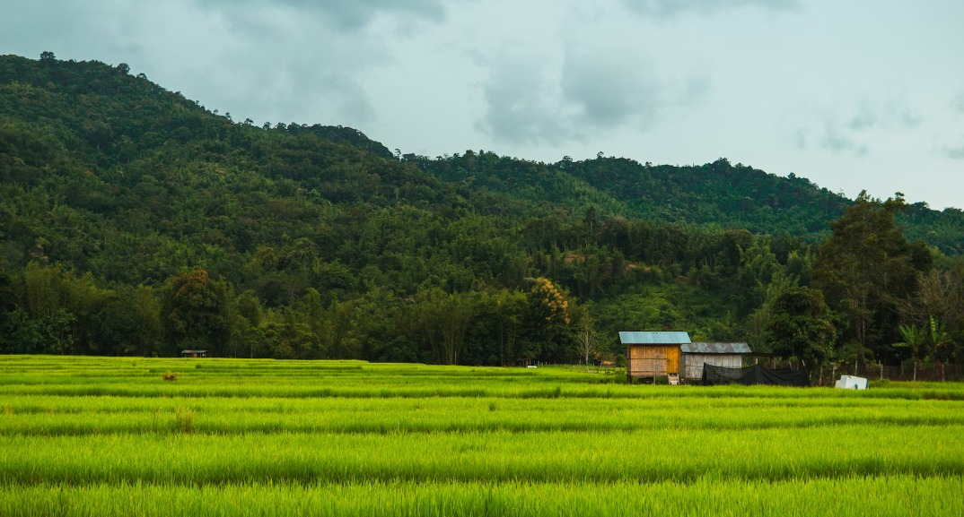 Kampung Terpencil di Kebumen, Tersembunyi di Balik Hutan Pegunungan, Hanya Dihuni 7 KK, Viewnya Bak Surga  
