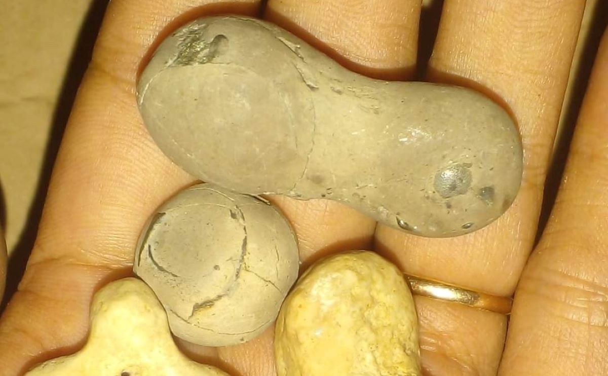 Bentuknya Mirip Kacang Tanah tapi Batu Akik Ini Sakti Mandraguna