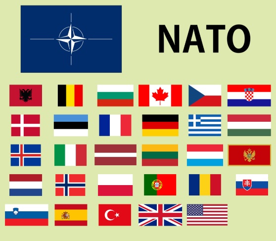 Ini 5 Alasan Rusia Sangat Membenci NATO, No 4 Bikin Emosi 