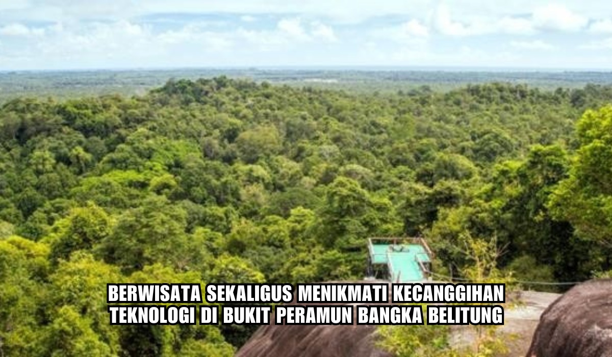 Destinasi Wisata Bukit Peramun di Bangka Belitung, Wisata Hutan Berbasis Digital yang Memiliki 147 Jenis Flora