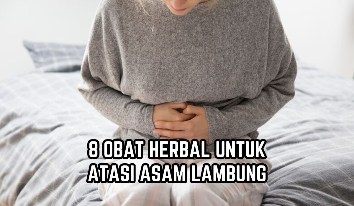 8 Obat Herbal untuk Atasi Asam Lambung yang Wajib Dikonsumsi Penderita GERD, Dijamin Tidak Bikin Kambuh