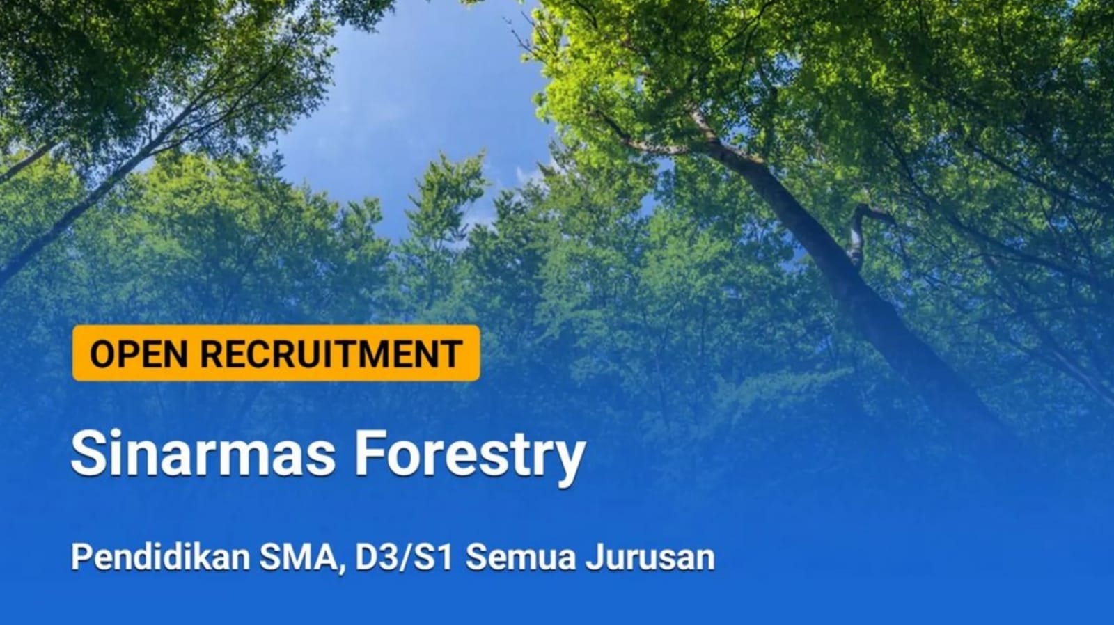 8 Lowongan Kerja Sinarmas Forestry (SMF) Perusahaan HTI Terbesar di Indonesia untuk SMA D3 S1