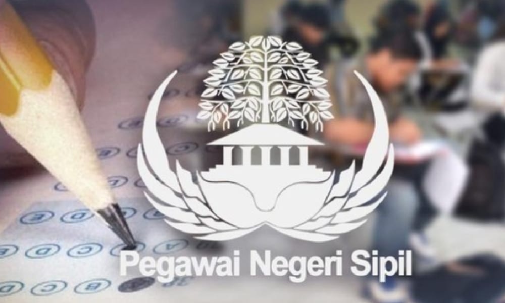 CATAT! Inilah Jadwal SKB CPNS 2024 beserta Rangkaian Tes