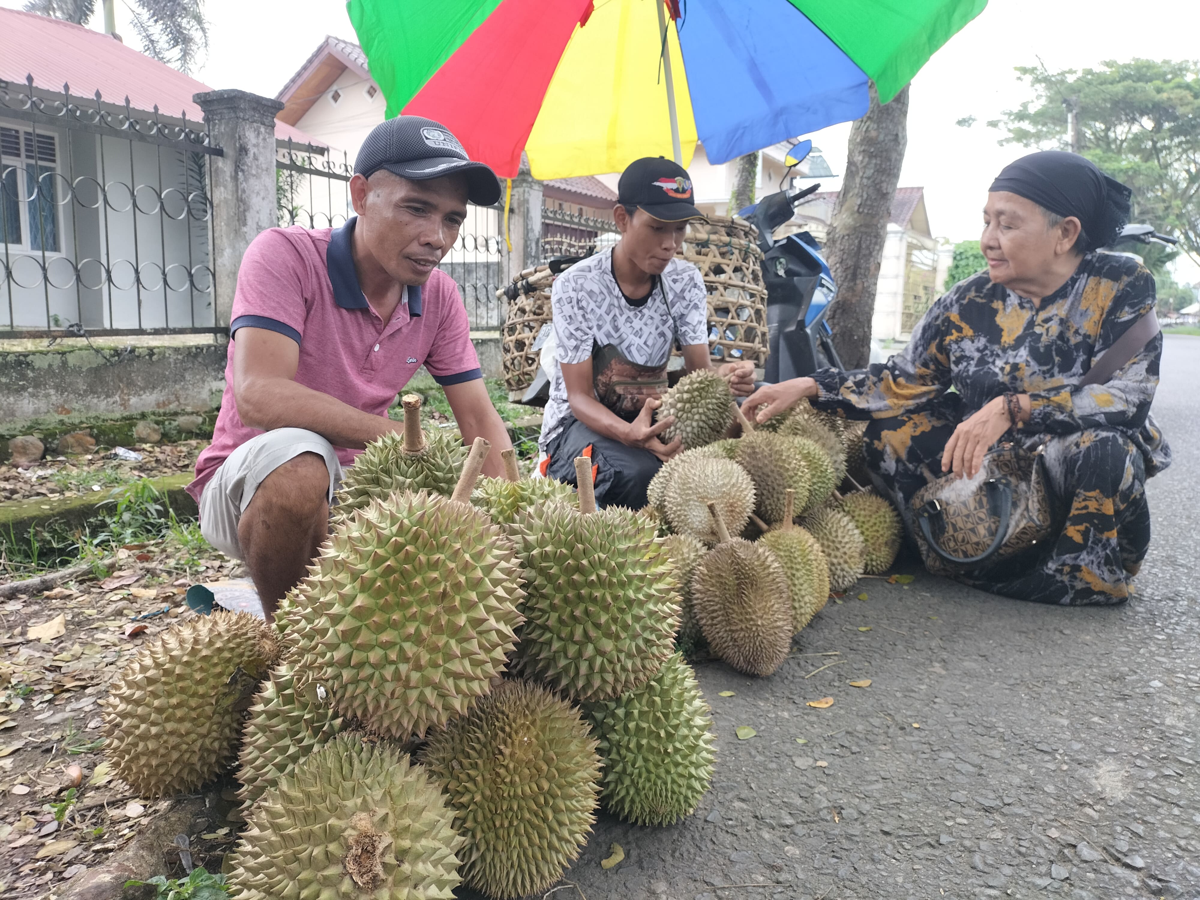 Durian Lubuklinggau, Rasanya Manis dan Harganya Tidak Bikin Kantong Menangis