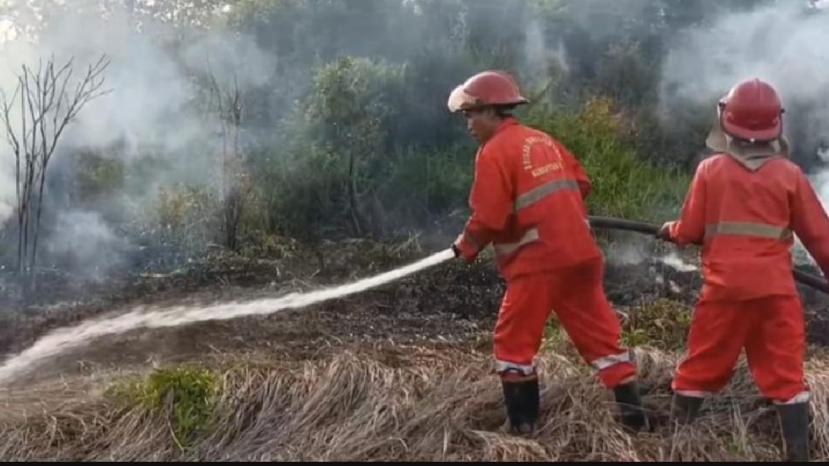 GAWAT! Karhutla di Muara Enim Sudah Dekati Pemukiman Warga 