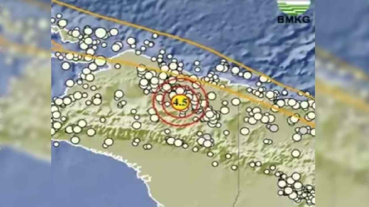 Gempa 4.5 Magnitudo Guncang Papua Pagi Ini, Kedalamannya 18 Km, Tak Berpotensi Tsunami