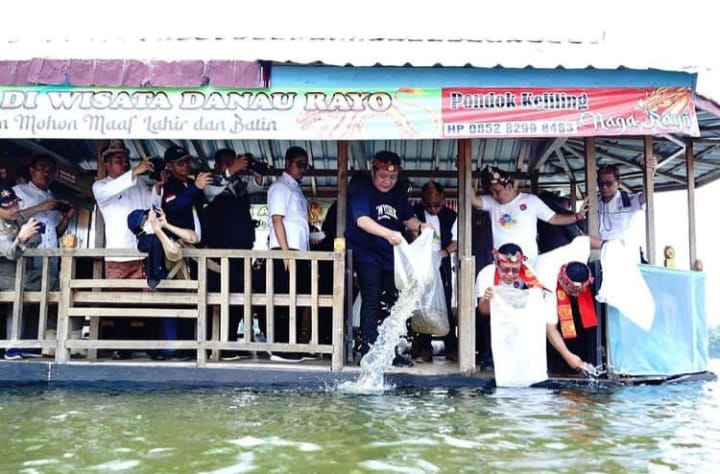 40 Ribu Ikan Kelemak Dilepas di Wisata Danau Rayo