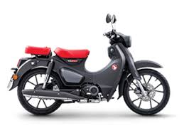 Sepeda Motor Honda Super Cub C125 Rp70 Jutaan Punya Varian Warna yang Keren Abis, Tertarik? Ini Spesifikasinya