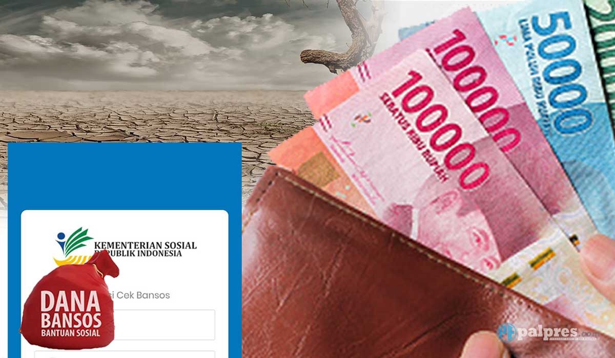 Cek ATM!! Saldo Bansos Rp600.000 Sudah Masuk Rekening KPM di Bank Ini, BLT Mitigasi Risiko Pangan Sudah Cair?