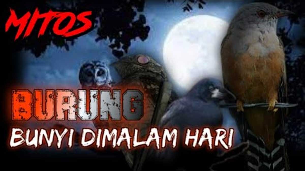Makna Burung Perkutut Bunyi di Tengah Malam Menurut Primbon Jawa, Pertanda Kedatangan Roh Jahat? 