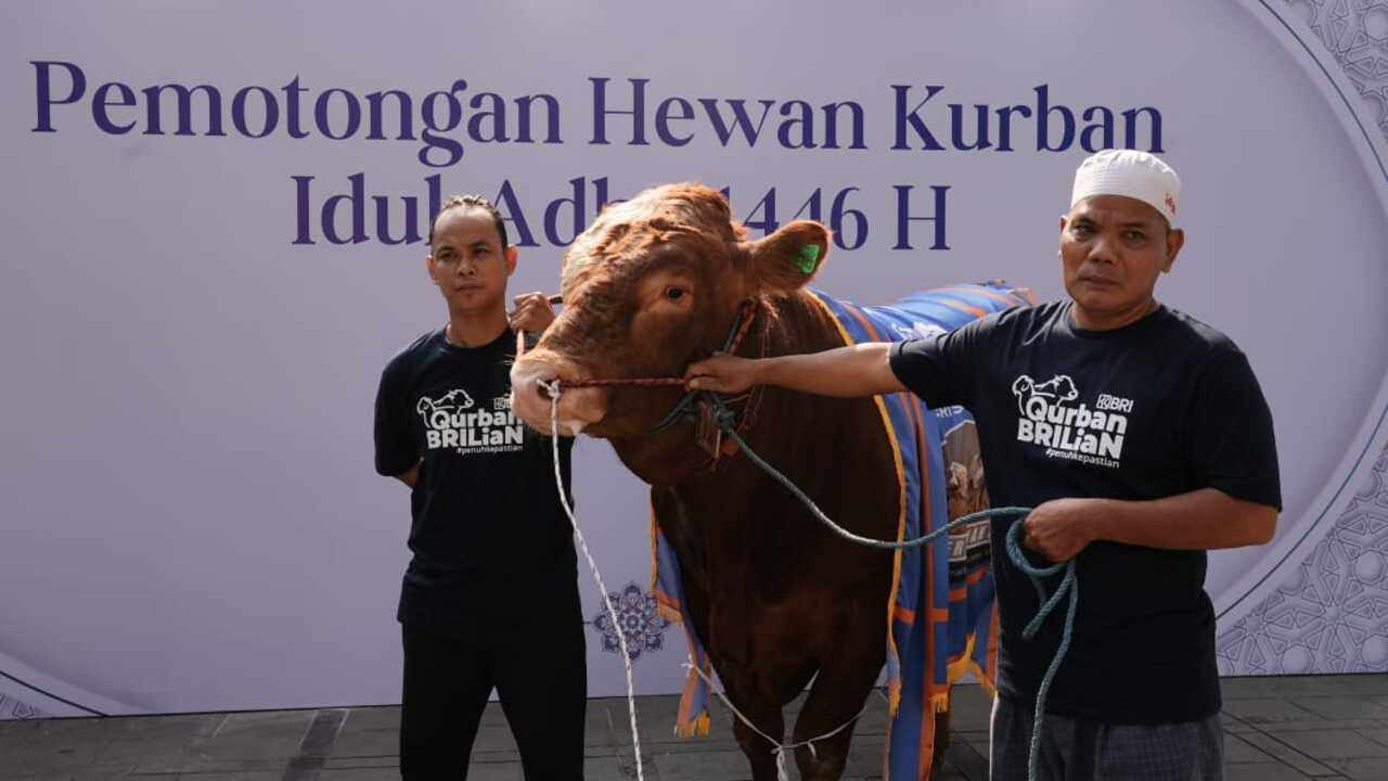 Semangat Berbagi Idul Adha 1446 H, Bapekis dan Insan BRILiaN Salurkan 961 Hewan Kurban untuk Masyarakat