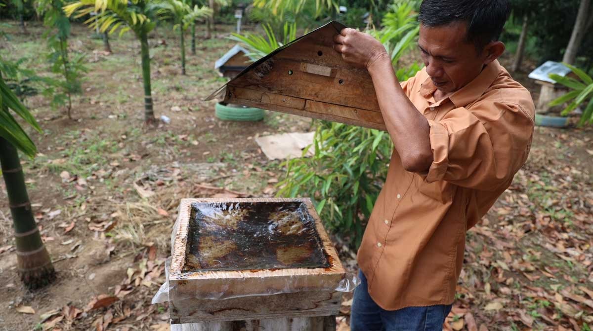 Tingkatkan Kesejahteraan Masyarakat, Bukit Asam Gelar Pelatihan Pengolahan Madu hingga Penanganan Hama