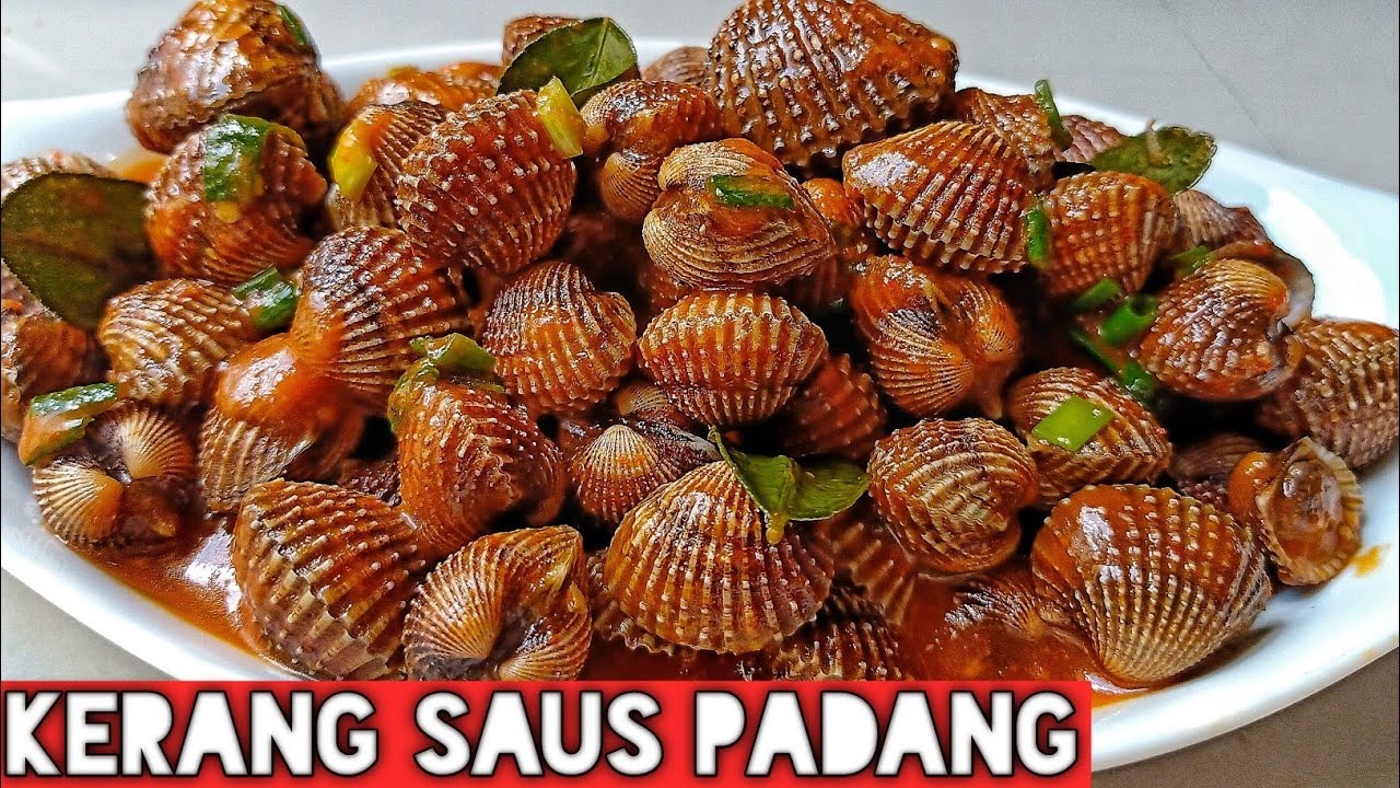 Resep Kerang Dara Saus Padang, Gurih dan Mudah bikin kamu ketagihan