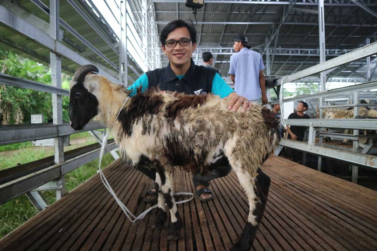 Apakah Kurban Harus Kambing Jantan dan Tidak Boleh Betina? Simak Penjelasan Ini