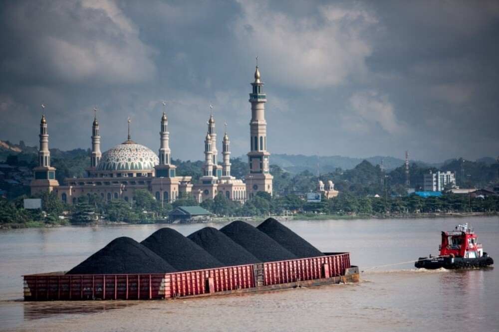 Solusi Pengangkutan Batu Bara di Jambi, Pelabuhan Tenam Siap Digunakan!