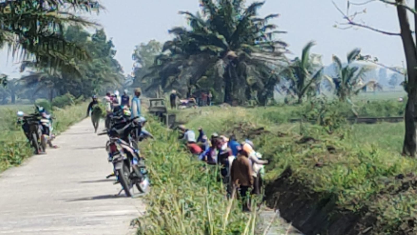 Sukeskan Pekan Gotong Royong, Ribuan Warga Desa Kurungan Nyawa II OKU Timur Lakukan Aksi Bersih-bersih
