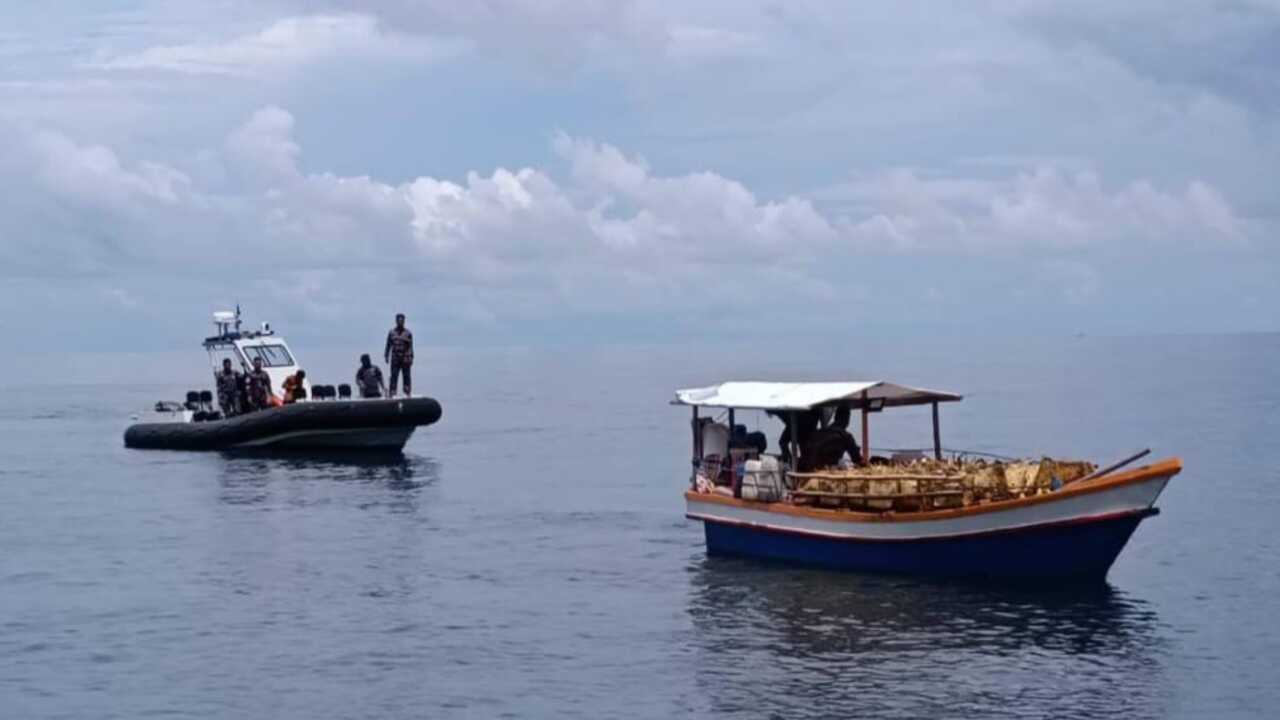 Mantap! TNI AL Gagalkan Penyelundupan Ratusan Ekor Ayam Ras dari Filipina, Ini Modus Pelakunya