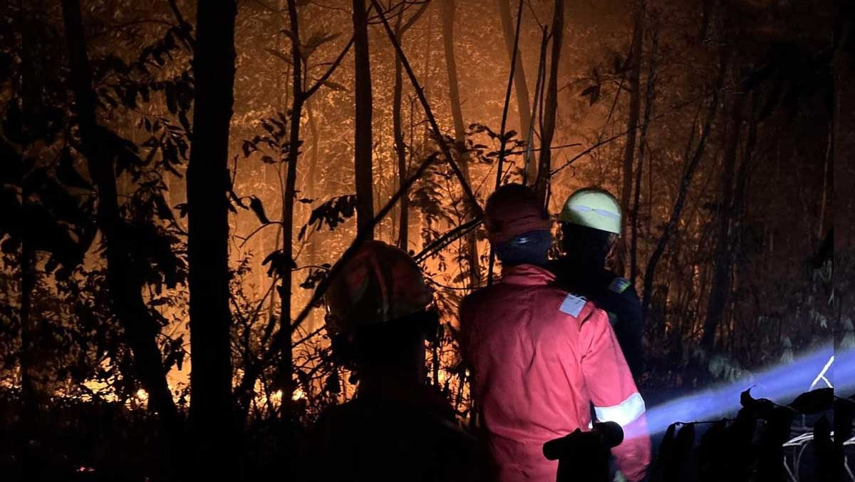 PTBA Aktif Bantu Penanganan Karhutla, Perkuat Respons Cepat dan Kolaborasi