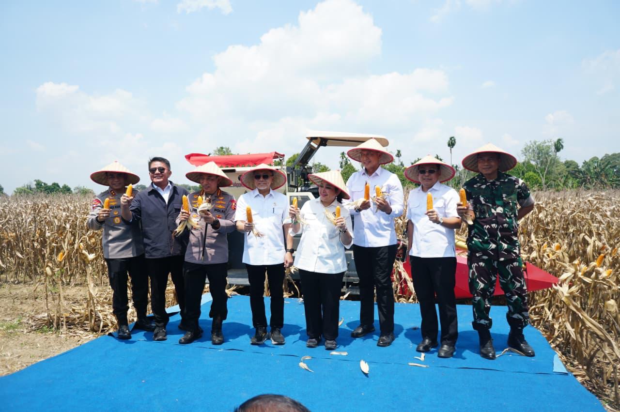Sumsel Dukung Ketahanan Pangan Nasional, Panen Raya Jagung Serentak di OKU Timur