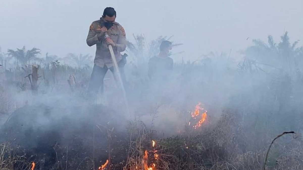 CATAT! Inilah 7 Daerah Sumsel yang Siaga Karhutla
