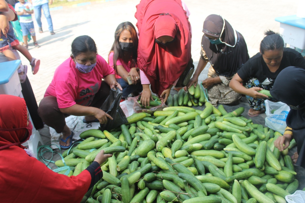 Harga Timun di Lahat Naik, Stok Jagung Kosong