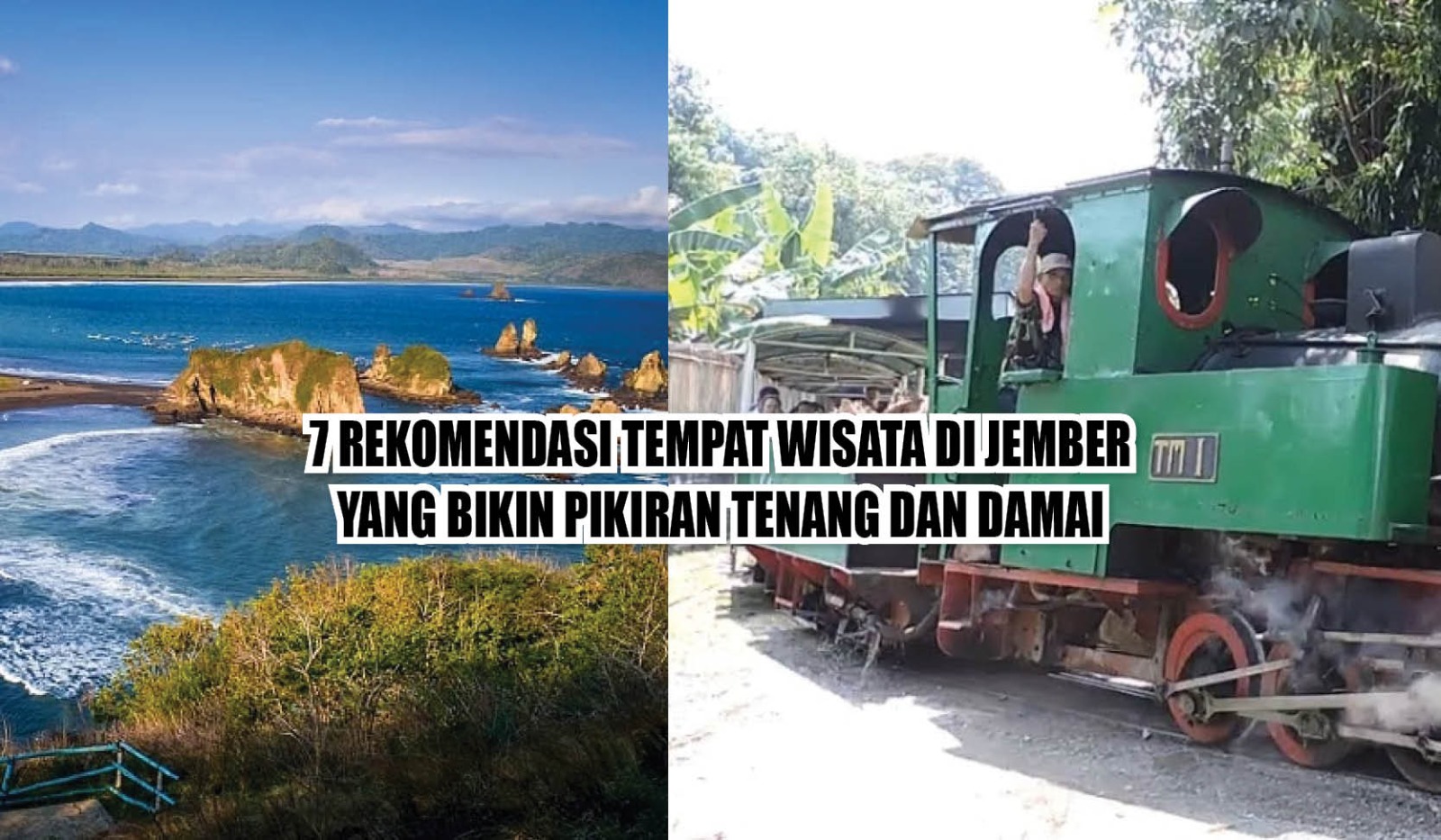 7 Rekomendasi Tempat Wisata di Jember yang Bikin Pikiran Tenang dan Damai