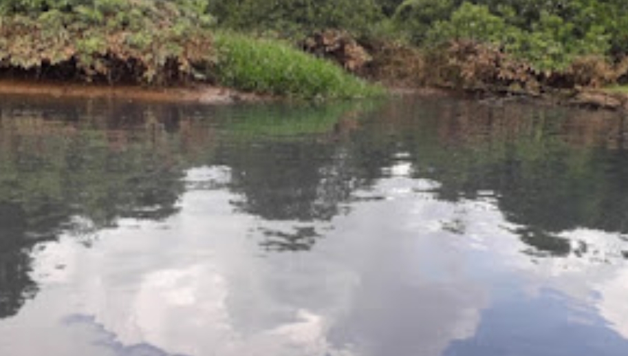 Anak Sungai Gasing Diduga Tercemar Limbah