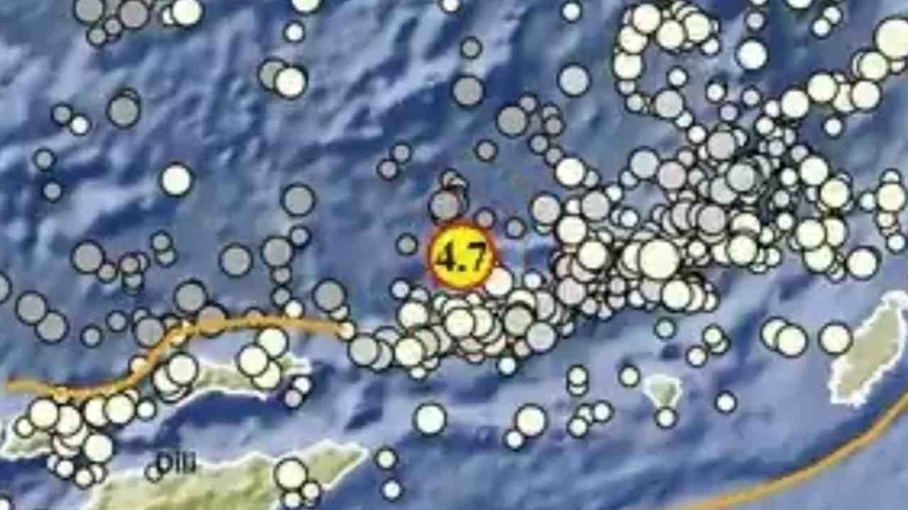 Rentetan Gempa Terjadi Pagi Ini, Maluku Barat Daya Jadi yang Terbesar