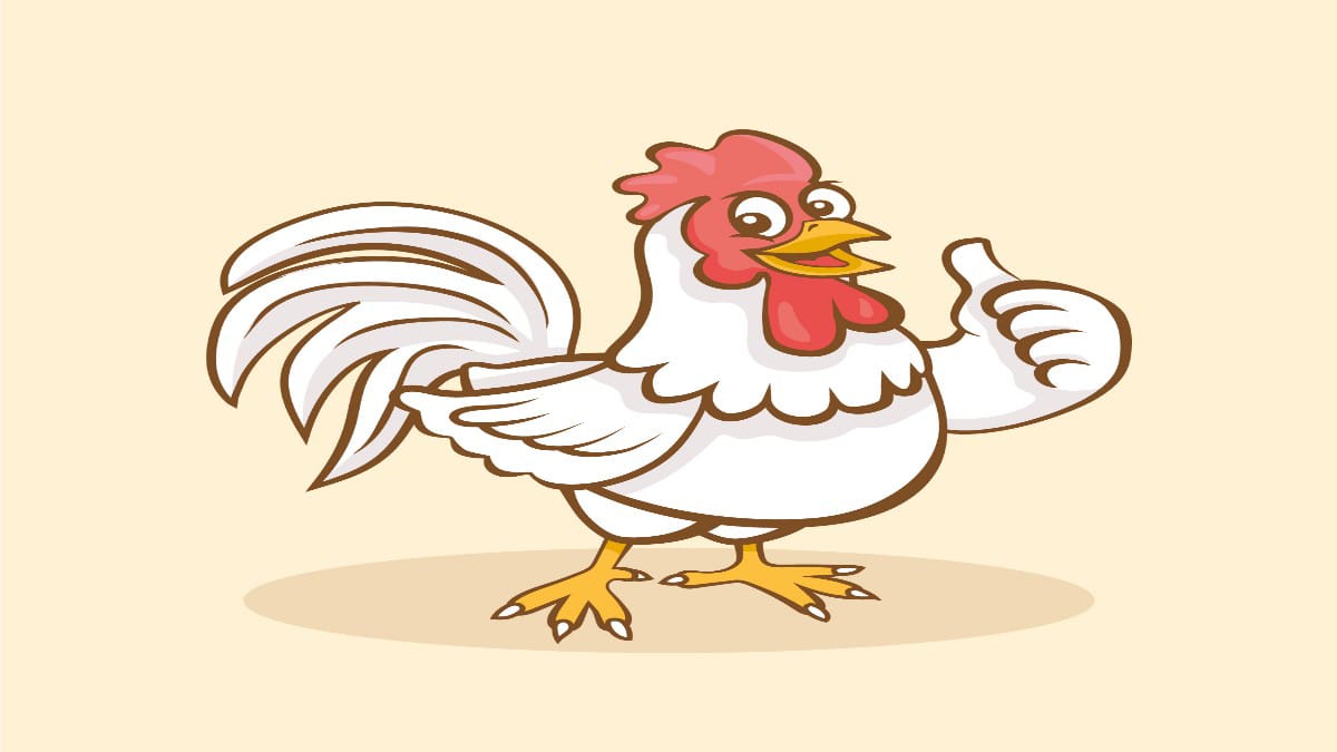 Tenyata Ayam berkokok Dimalam Hari Pertanda Gempa Bumi?, Benarkah?, Simak Dibawah Penjelasannya