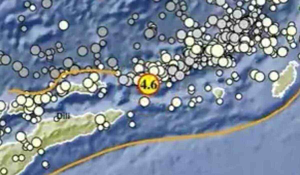 Gempa 4.6 Magnitudo Pagi Ini Terjadi Maluku Barat Daya, Tak Berpotensi Tsunami