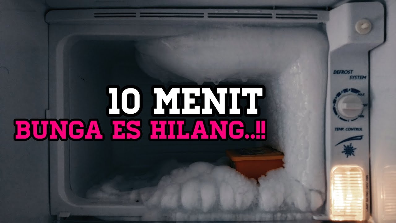 Begini 5 Cara Mudah Hilangkan Bunga Es dari Freezer Kulkas Tanpa Cabut Colokan, Cair dalam Hitungan Menit