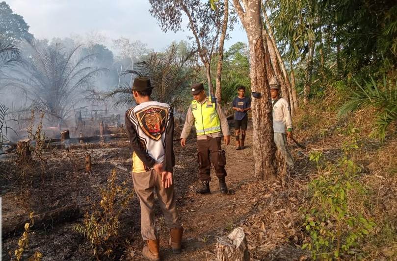 BPBD Muba Berhasil Padamkan Lahan Terbakar Seluas 1 Hektar, Ini Lokasinya