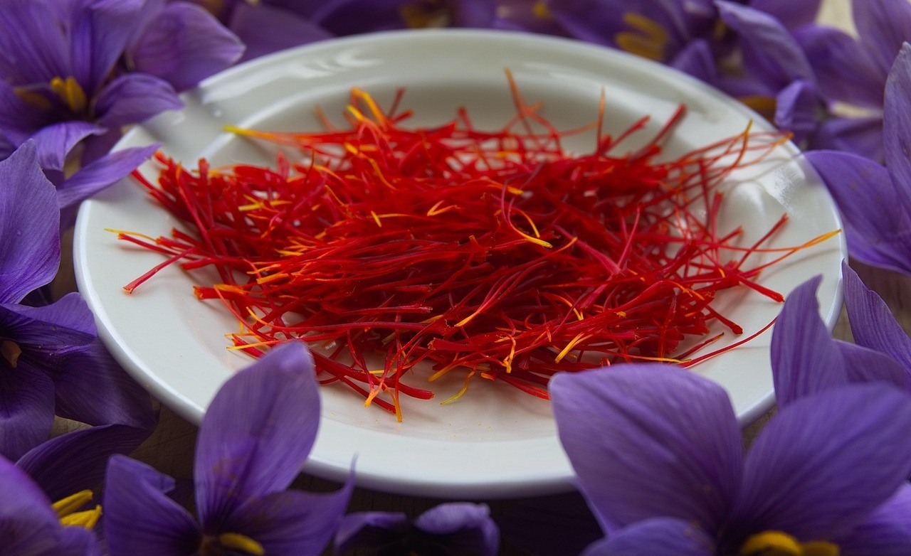 Rempahnya Para Sultan! Inilah 9 Manfaat Mengesankan dari Saffron, Si Paling Mahal di Dunia