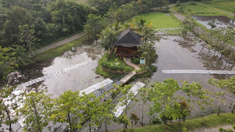 Inovasi PT Bukit Asam Kembangkan Lahan Basah Buatan untuk Pemulihan Lingkungan