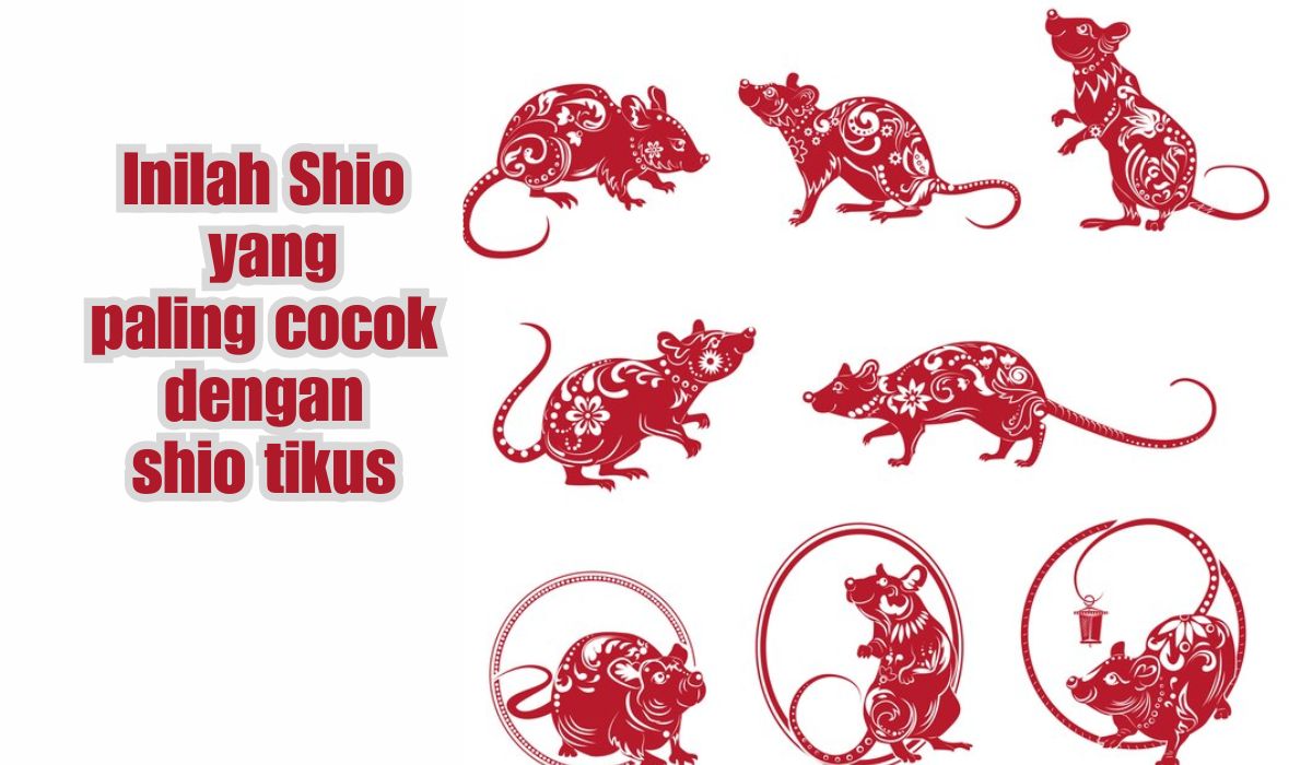 Astrologi Cina: Tikus Paling Cocok dengan Shio Ini, Menghasilkan Harmoni yang Menggetarkan Hati, Bisa Tebak?