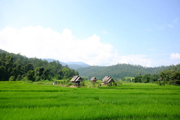 Daftar 5 Daerah Tersepi di Sumatera Selatan, Nomor 1 Dipimpin Walikota dengan Harta Kekayaan Rp33,9 Miliar