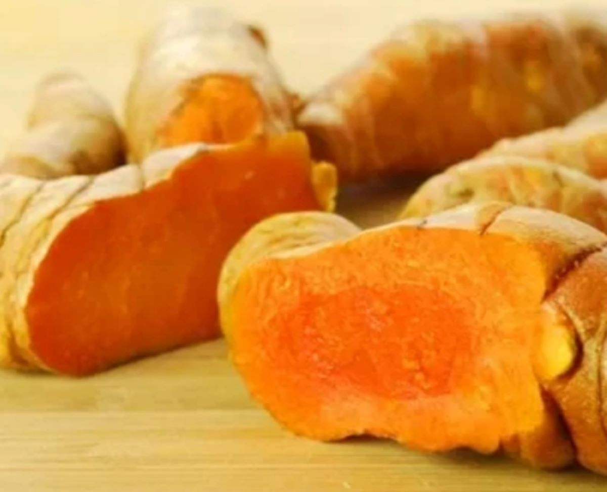 Inilah 5 Jenis Obat Herbal Untuk Mengatasi Asam Lambung